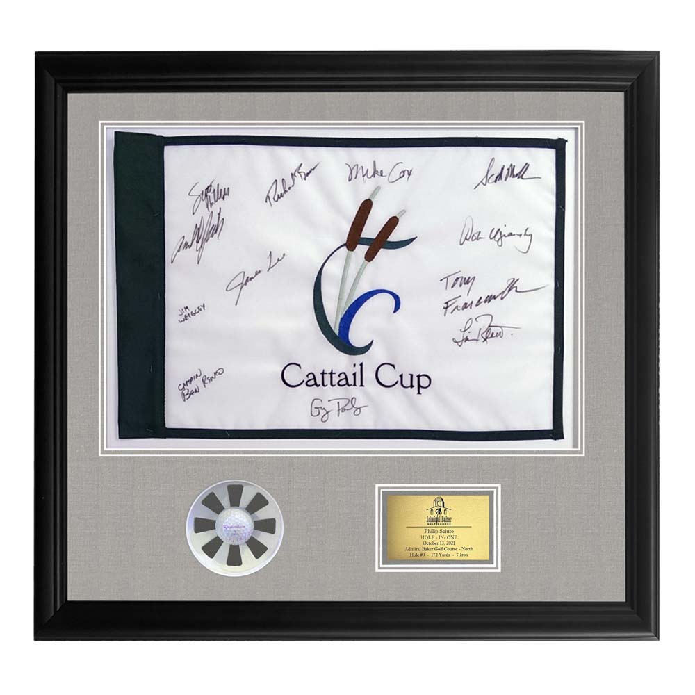 Framed Hole In One Pin Flag Shadow Box