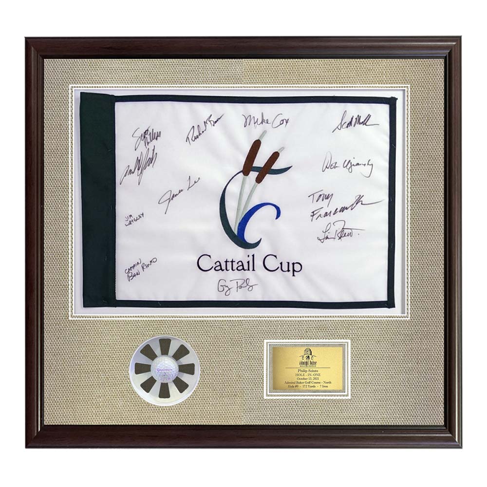Framed Hole In One Pin Flag Shadow Box