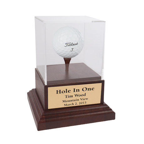 Hole-In-One Desk & Shelf Trophies