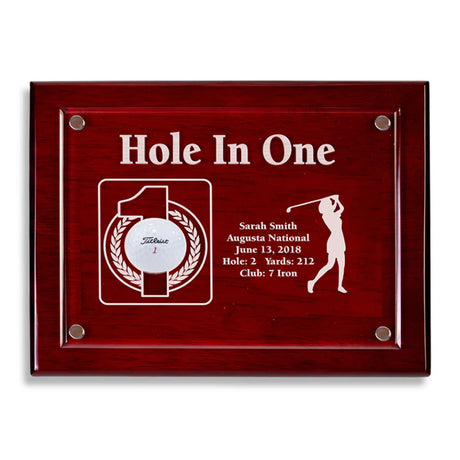 Hole-In-One Wall Plaques
