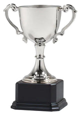 Nickel Plated Cup Golf Trophy