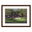 "Augusta-13th Azalea" Framed Print
