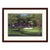 "Augusta-13th Azalea" Framed Print
