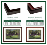 "Augusta-13th Azalea" Framed Print