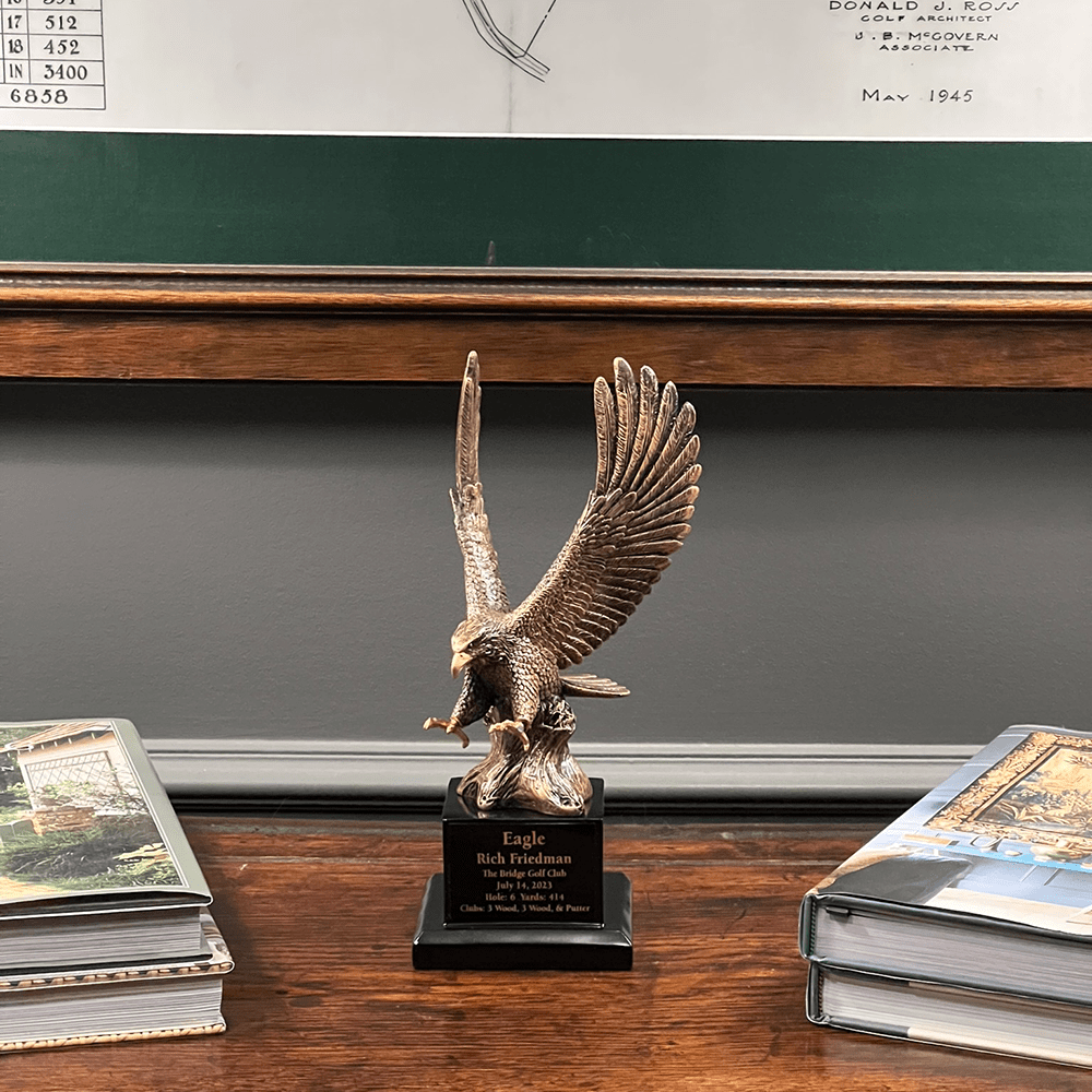 Large Bronze Eagle Trophy