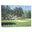"The 11th At Augusta-White Dogwood" Wrapped Canvas