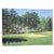 "The 11th At Augusta-White Dogwood" Wrapped Canvas