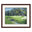 "The 13th At Augusta-Azalea" Framed Print
