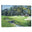 "The 13th At Augusta-Azalea" Wrapped Canvas